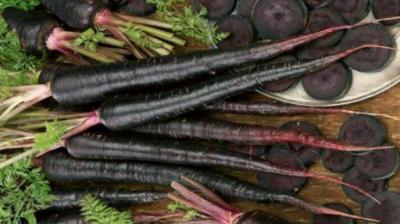  Black Carrots