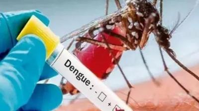 More than 200 people suffering from dengue in Mohali, 44 new patients in five days