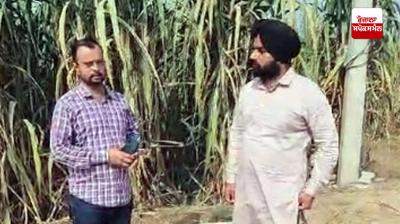 ਅਗਾਂਹ ਵਧੂ ਕਿਸਾਨ ਸ਼ਮਨਪ੍ਰੀਤ ਸਿੰਘ ਪੱਤਰਕਾਰਾਂ ਨਾਲ ਗੱਲਬਾਤ ਕਰਦੇ ਹੋਏ 