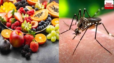  Dengue Health News in punjabi 