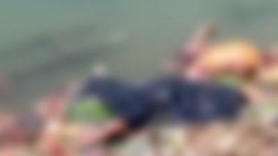 Bihar: The body of dead bodies at the Ganga Ghat in Buxar, while fluttering, said the administration – “Not ours, but UP’s dead”