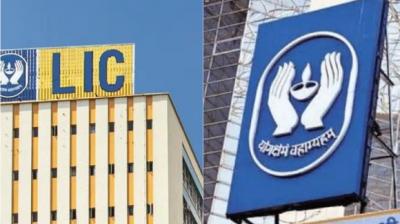 LIC market value falls by 47,943 crores this week, TCS market cap jumps