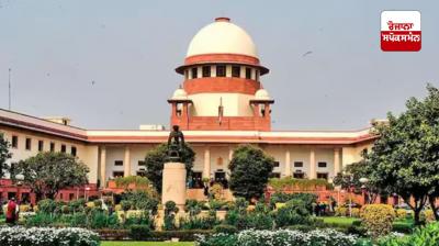 Cutting down trees is more serious than killing a human being: Supreme Court