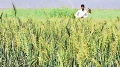 Agricultural equipment took a subsidy of rs 135 lakh from the government in a fake way 