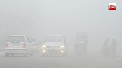 Fog alert in 14 districts of Punjab