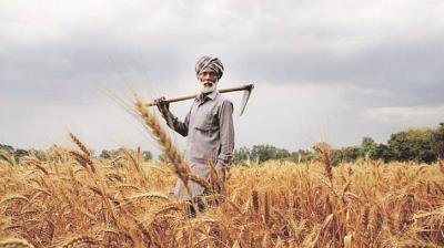 punjab farmers