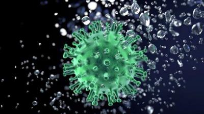 coronavirus 