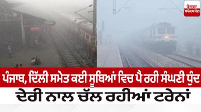  Trains Delaye Due to Dense fog in Delhi News in punjabi 