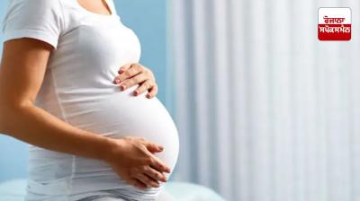 Rare condition of 'fetus in fetus' found in pregnant woman in Maharashtra