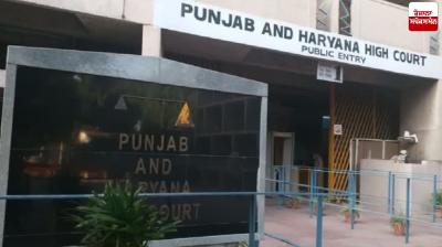 Allegations of felling of trees in Mohali Sector 69: Court expresses doubt on photographic evidence