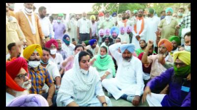 AAP leader arrested for protesting against Sadhu Singh Dharamsot