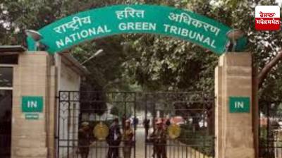 NGT issues notice to Centre on use of invasive fish species for mosquito control