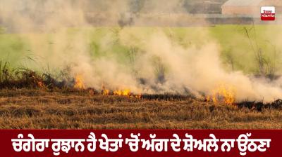 Paddy stubble burning News