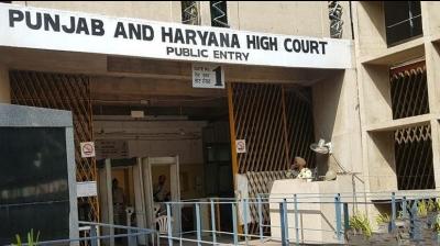 Punjab Haryana High Court 