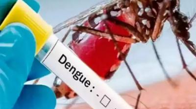 dengue