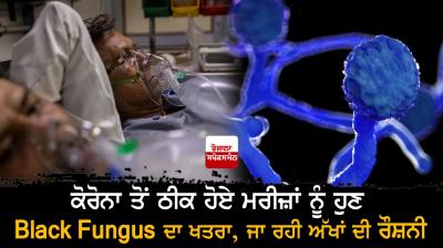 Black Fungus Infection