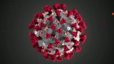 Corona virus