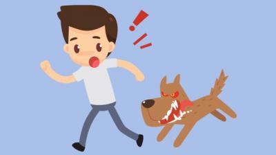 Ludhiana Rabies symptoms found in family News