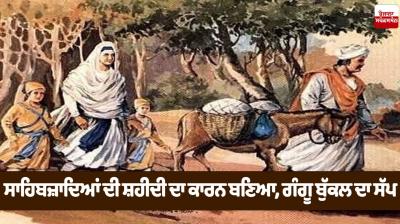 Safar-E-Shahadat article in punjabi