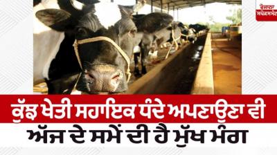 Adopting some agricultural support businesses is also the main demand of today 