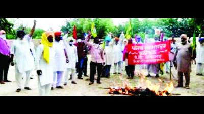 ਸਰਕਾਰ ਦੀਆਂ ਅਰਥੀਆਂ ਫੂਕਦੇ ਹੋਏ ਪੰਜਾਬ ਖੇਤ ਮਜ਼ਦੂਰ ਯੂਨੀਅਨ ਦੇ ਵਰਕਰ। ਸੰਜੂ 