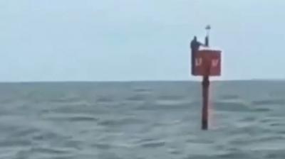 Fisherman survives by clinging to ocean buoy for two days