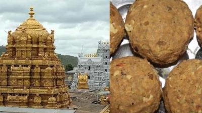 ,Sri Venkateswara temple in Tirupati 