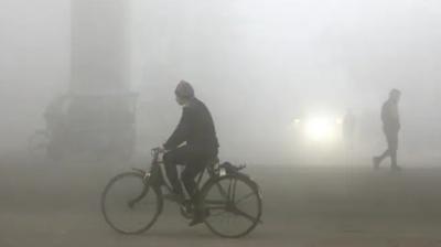 Many parts of Haryana-Punjab covered in fog