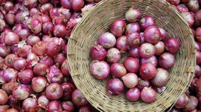 Onion Exports