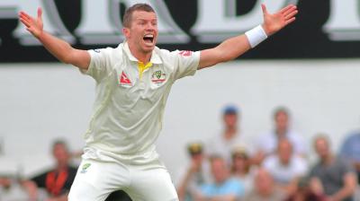 peter Siddle