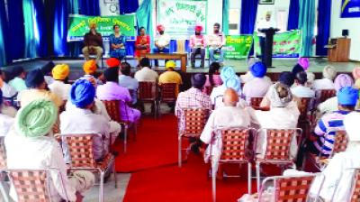 During the meeting Farmers and Agricultural Officers