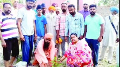 People During Planted Plants 