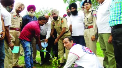 Plants Planted by Police Officers
