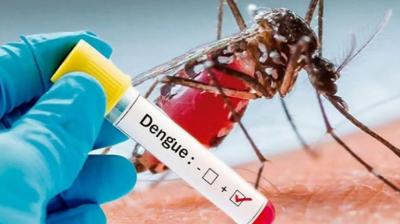 Dengue