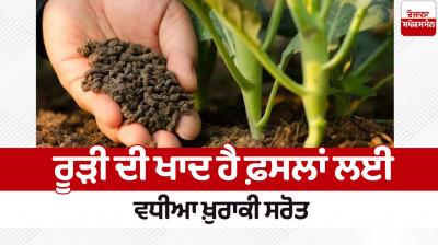 Manure is an excellent source of nutrients for crops