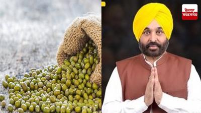 Punjab govt supports MSP on Moong crop
