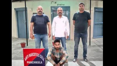  Panchkula drug Smuggler