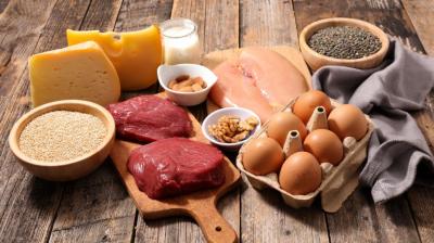 Diet based on plants is not very good for brain health