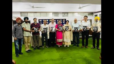 Roshni Da Punj Addison