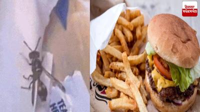 A worm out of a burger Jalandhar News