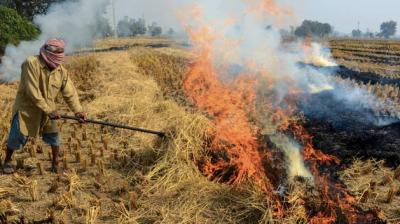 stubble burning (representative pic)