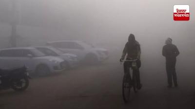 Meteorological Department issues yellow alert for cold wave in Punjab and Chandigarh