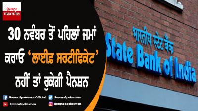 Submit Life Certificate By November 30 To Continue Receiving Pension, Warns SBI