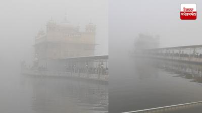 Darbar sahib Fog News in punjabi 