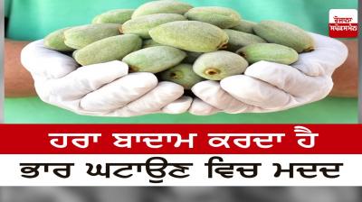 Green almonds help in weight loss