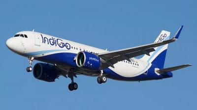 Indigo Flight