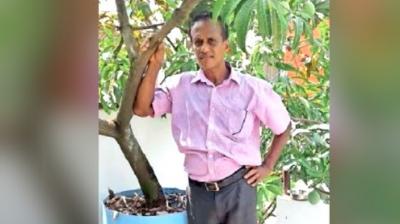 Kochi man grows 40 varieties of mangoes on his rooftop