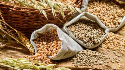 agriculture products