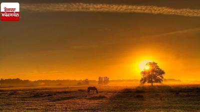 Punjab Weather Update News