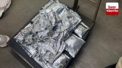 Over 12 kg of opium seized from Ludhiana courier office
